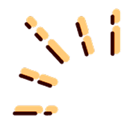 SBT-INC image